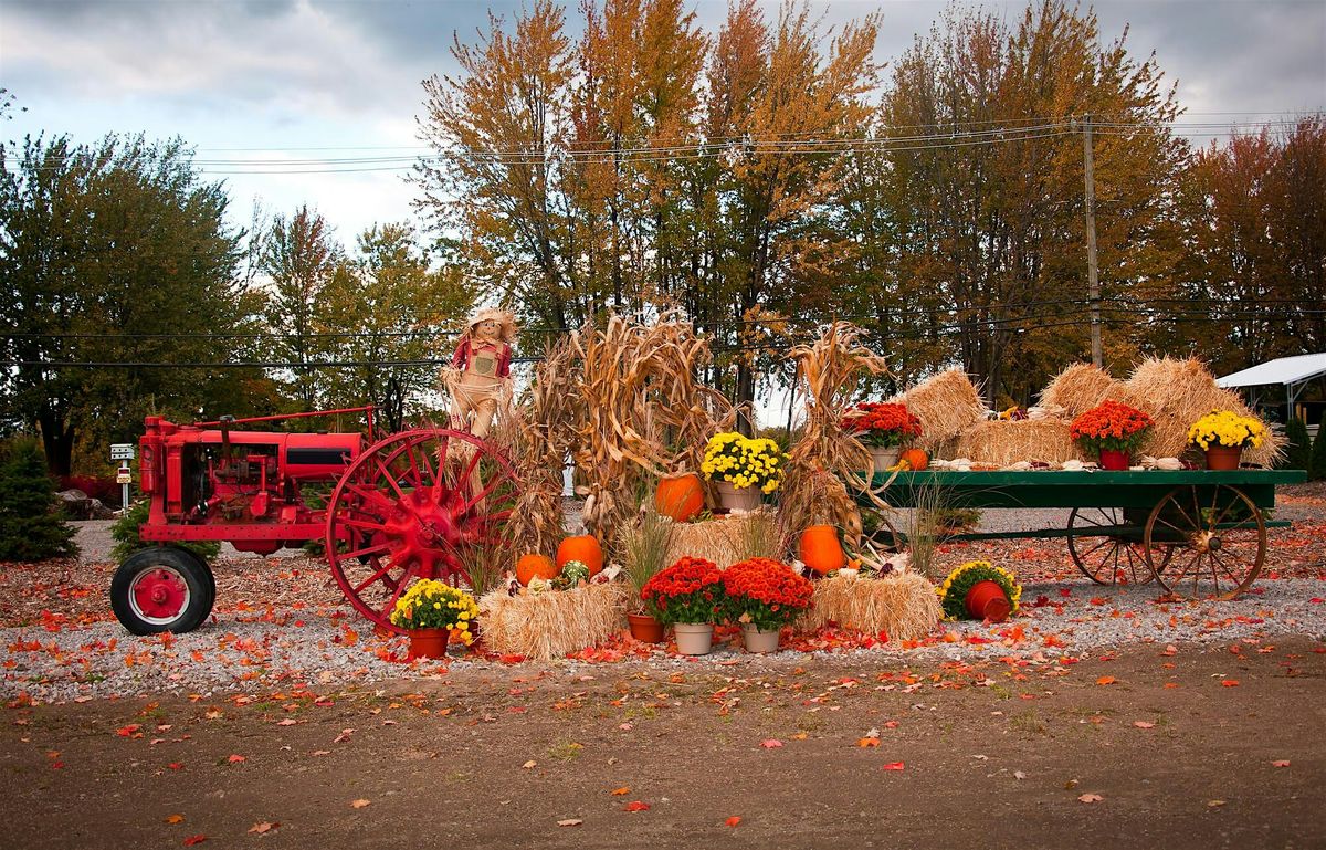 Pumpkins and Hayrides