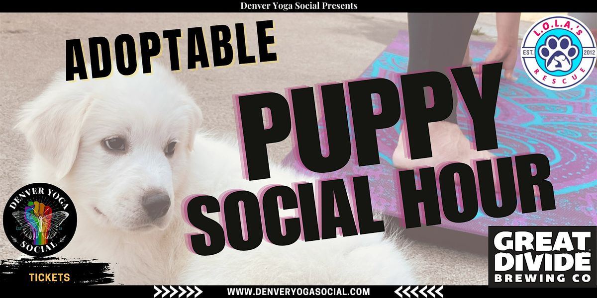 Adoptable Puppy Social Hour at Great Divide Bar