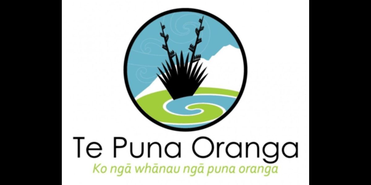 Te Puna Oranga - Mauri Oho Website Launch