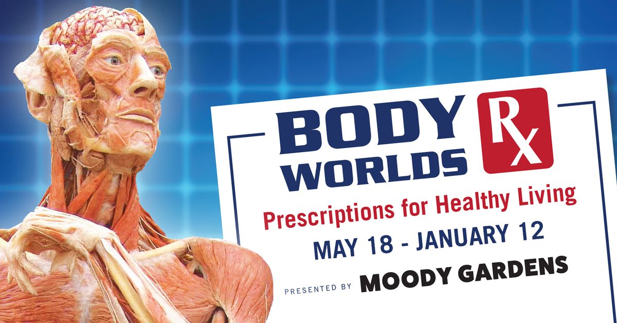 BODY WORLDS RX | Discovery Museum @ Moody Gardens | Galveston, TX 77554