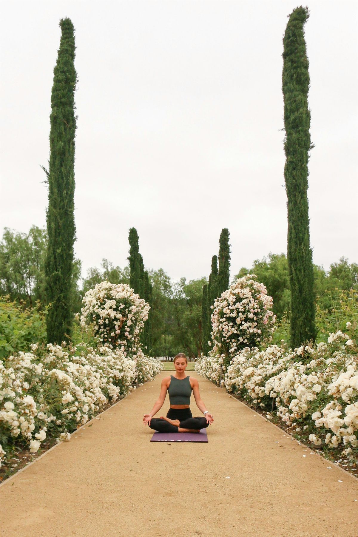 Mizel Yoga and Sound Bath in the Vineyard