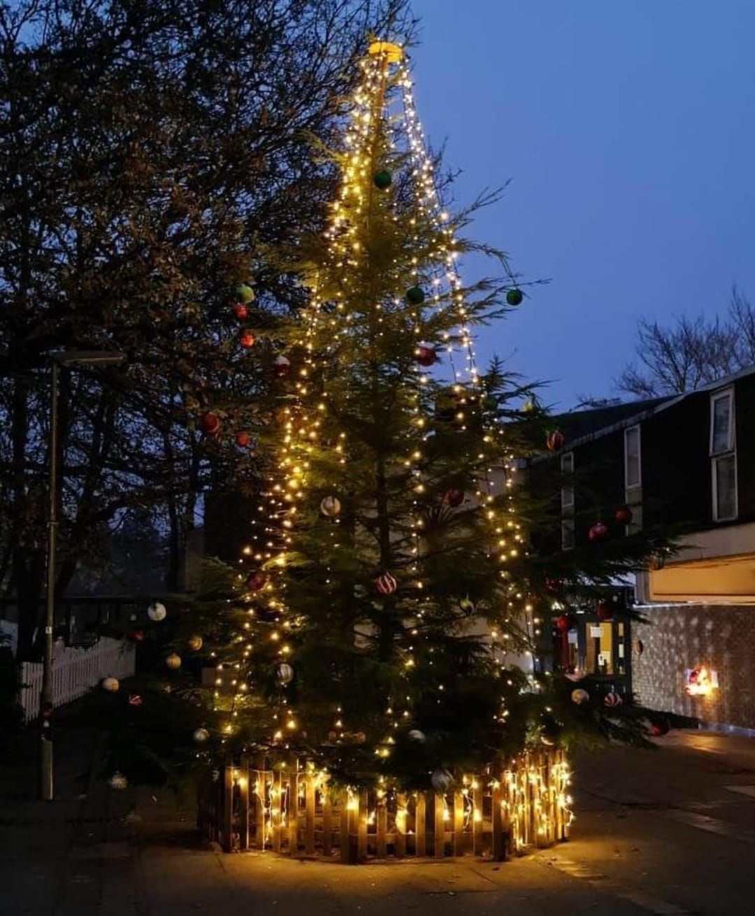 Heatherside Christmas tree light switch on event