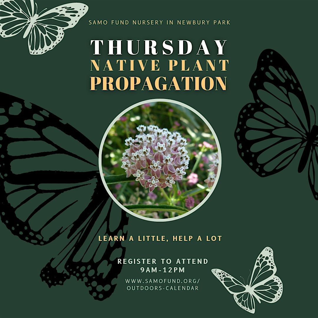 Native Plant Propagation Thursdays - Volunteer Nursery Event