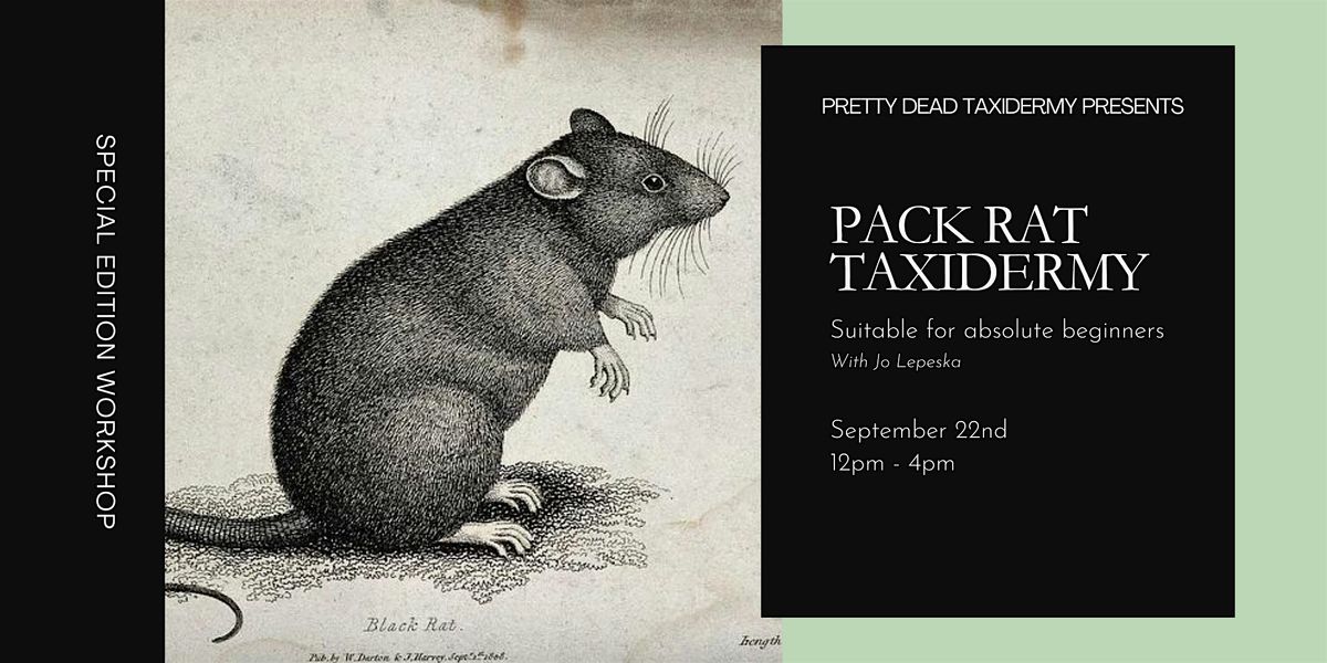 Special Edition Taxidermy Workshop: Pack Rat