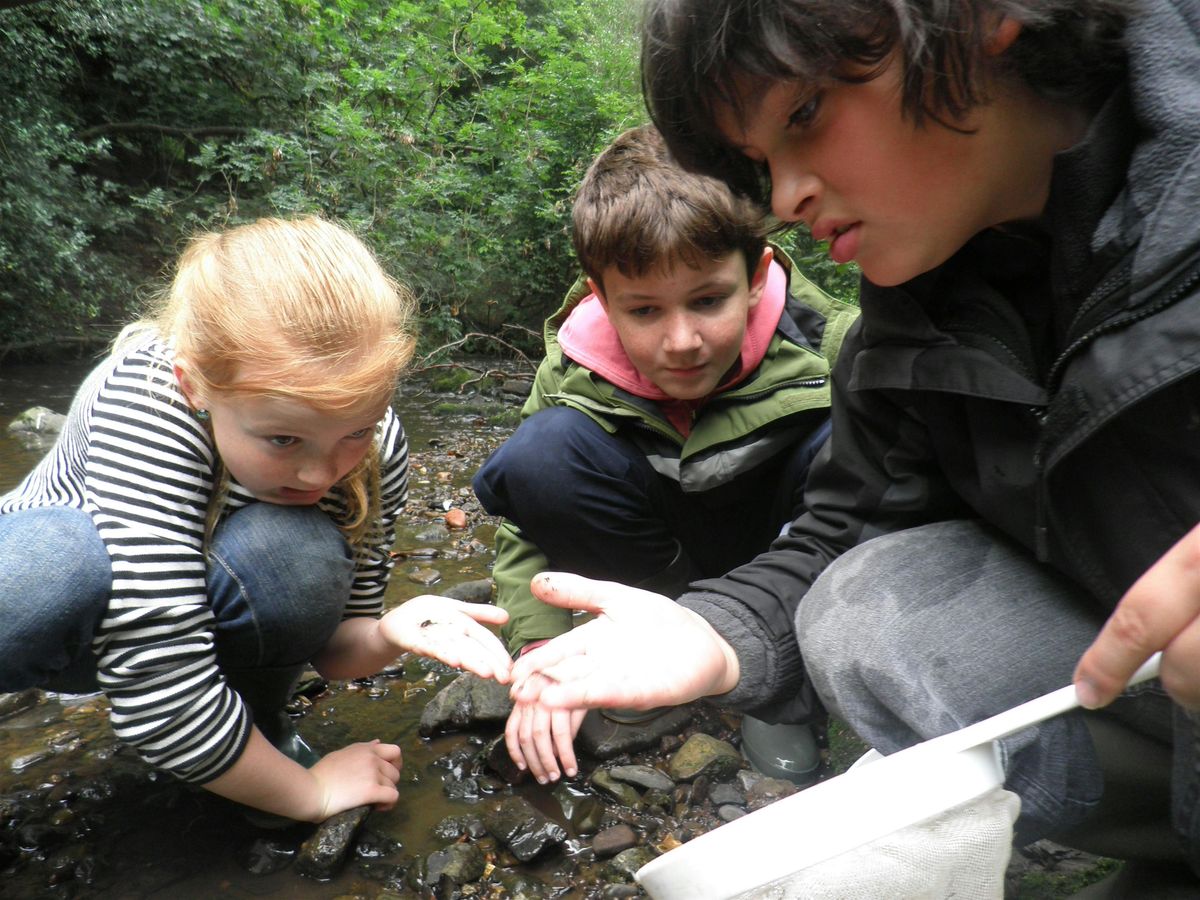 River Dipping for 5 to 10 year olds