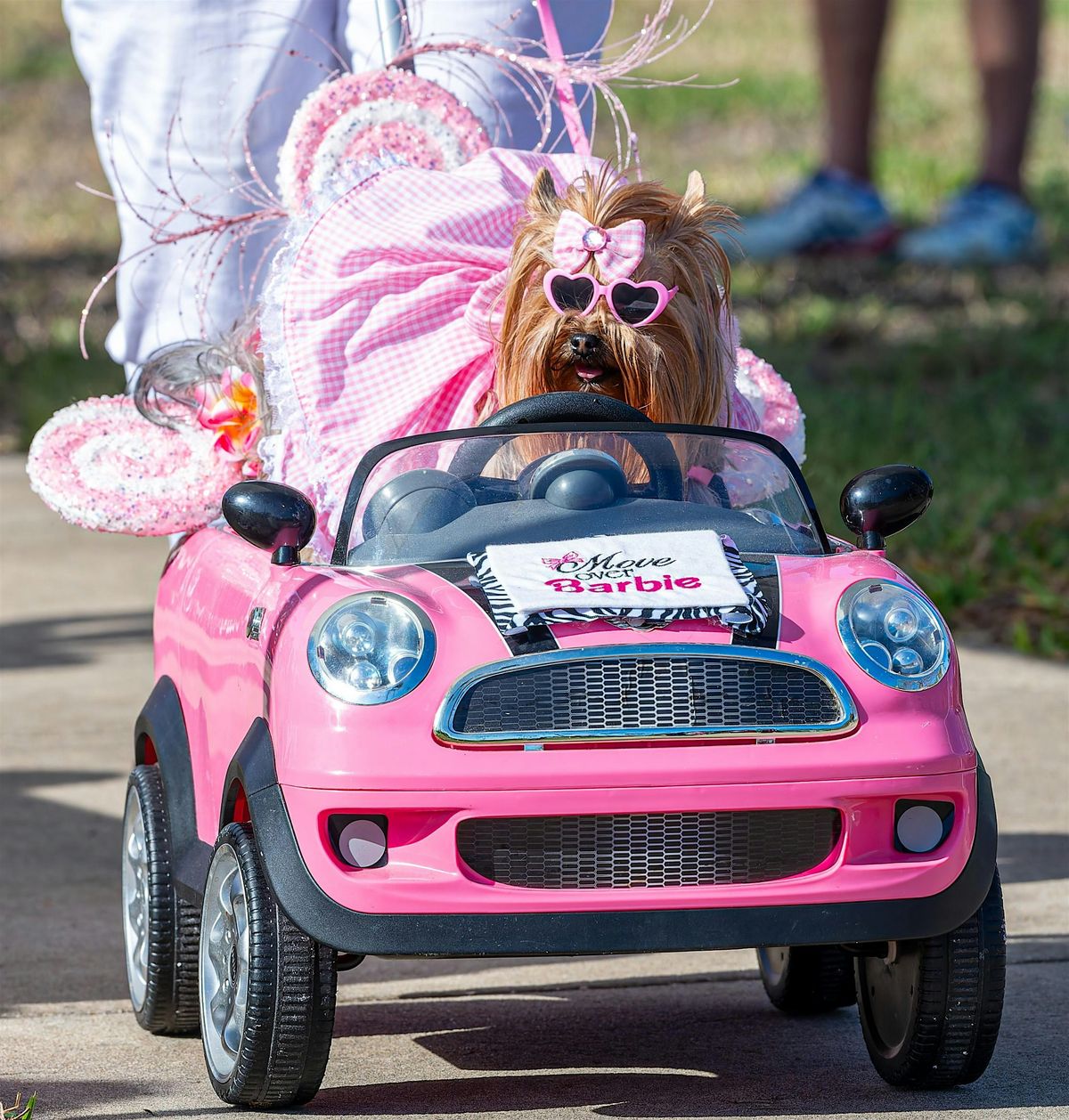 Third Annual Halloween Pet Parade