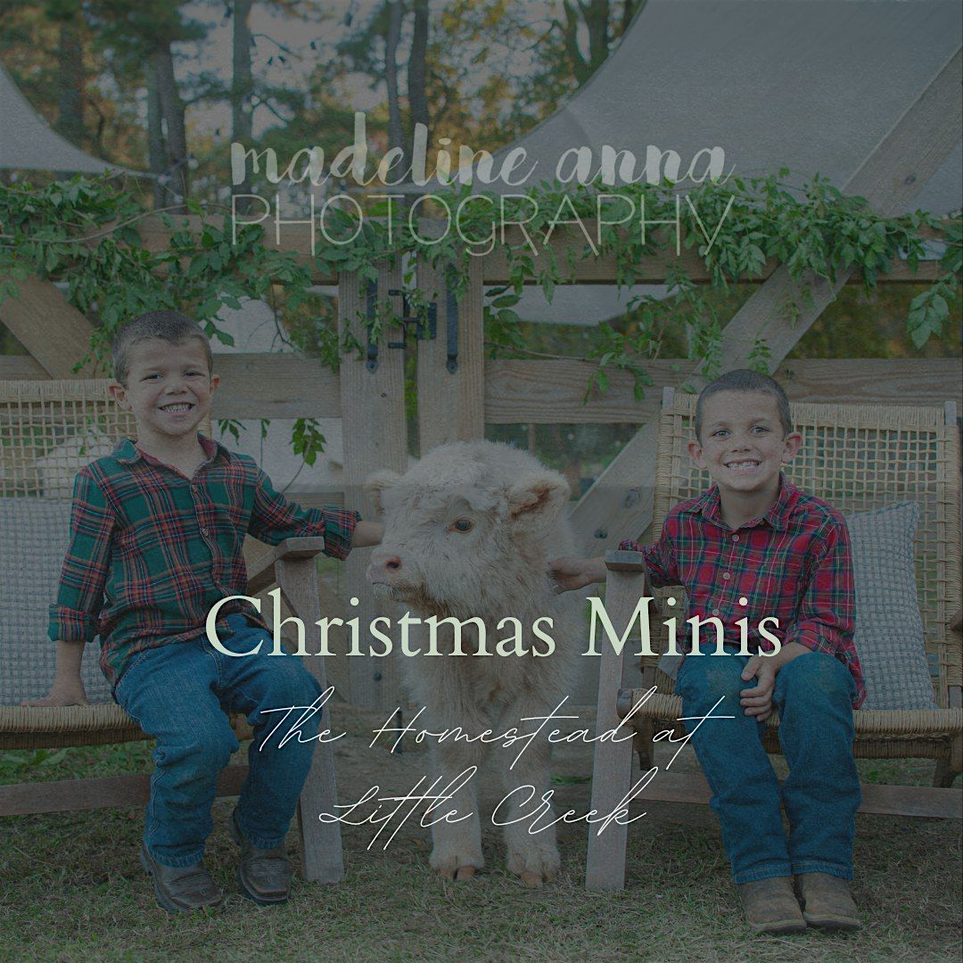 Christmas Minis at The Homestead