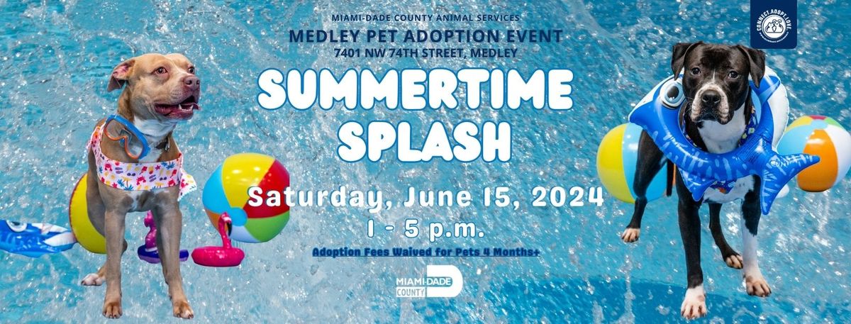 Medley Adoption Event - Every Saturday & Sunday