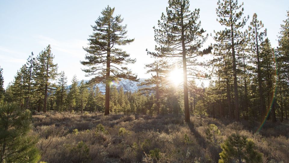 Fort Harrison Wilderness Worship