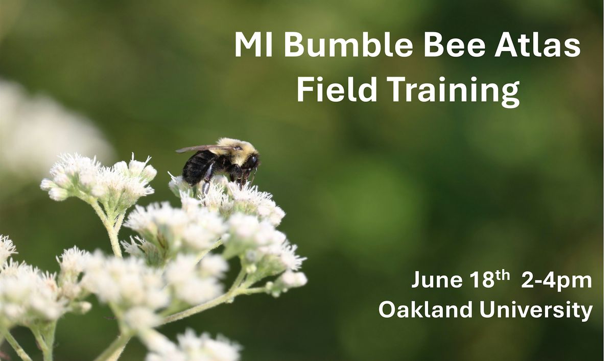 Michigan Bumble Bee Atlas Field Training