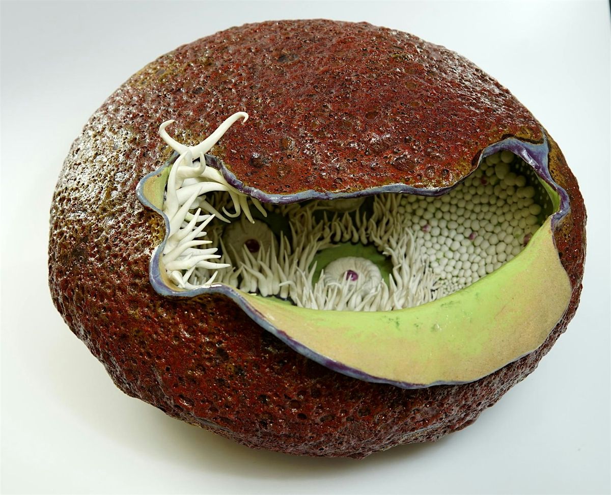 'Seed pod ceramic sculpture' workshop at Wisbech Gallery