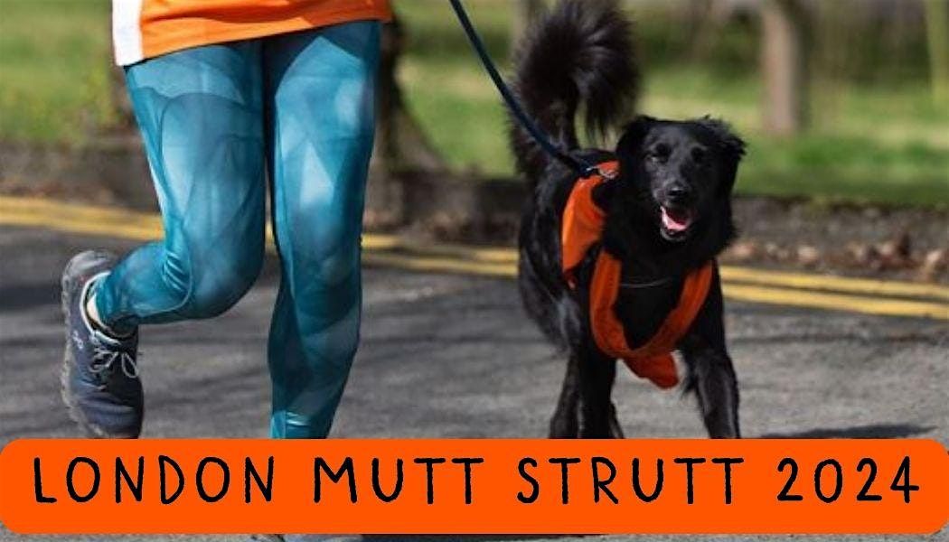 London Mutt Strutt 2024