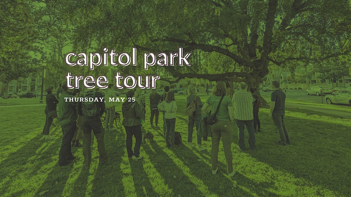 Capitol Park Tree Tour