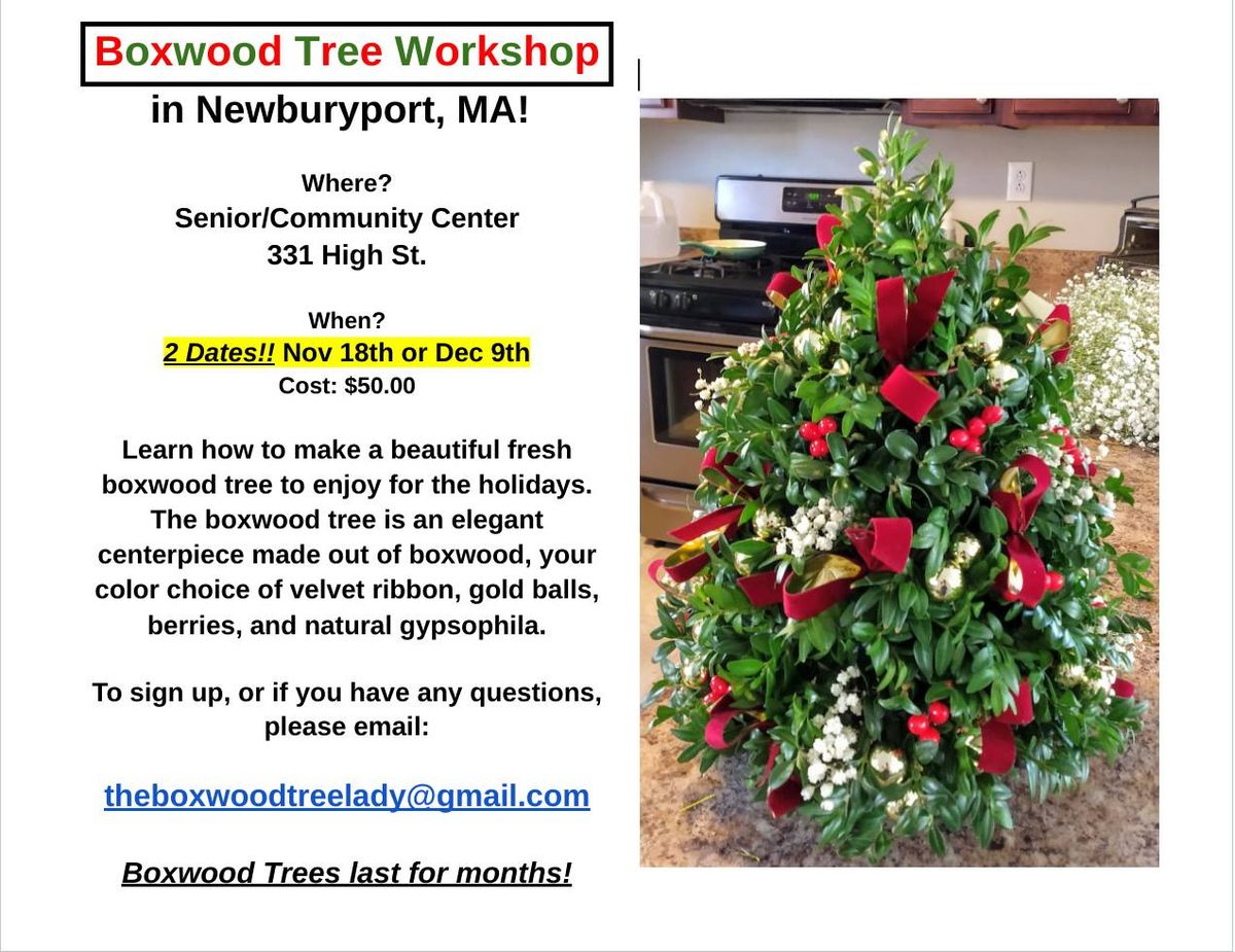 Boxwood Tree Workshop