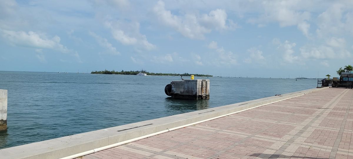 Early Bird Clean Up Mallory Square hosted by Ocean Key Resort & Spa