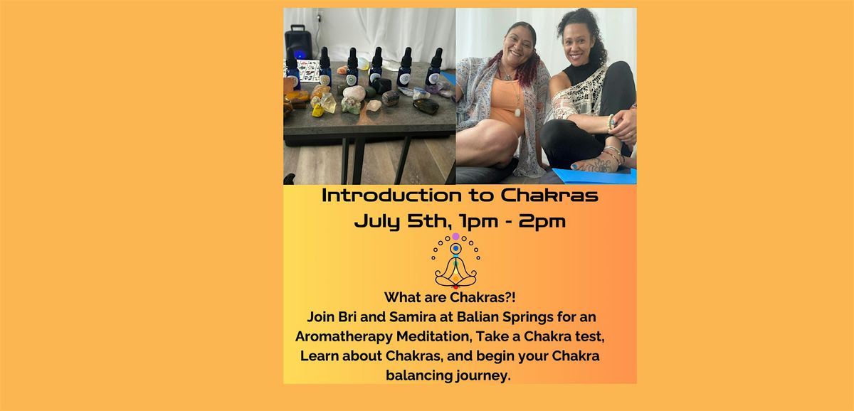 Introduction to Chakras at Balian Springs