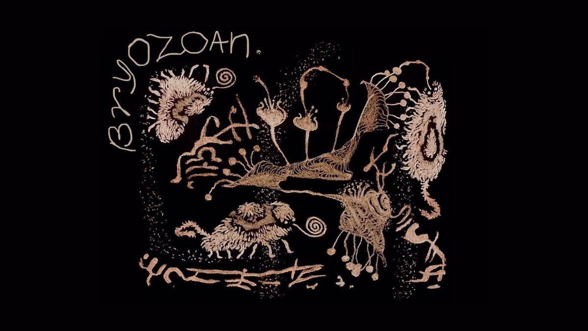 BRYOZOAN | les sans-taverne