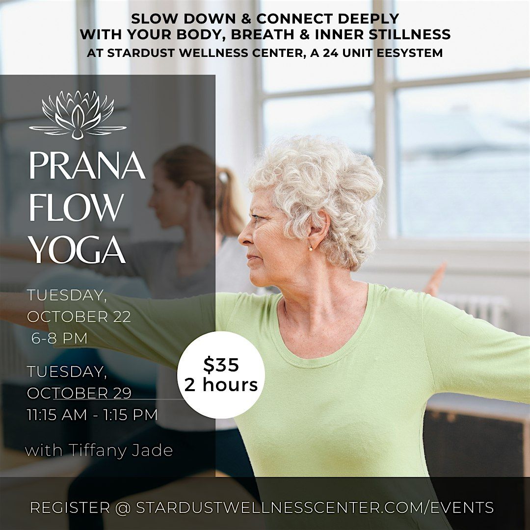 Prana Flow Yoga in an EESystem