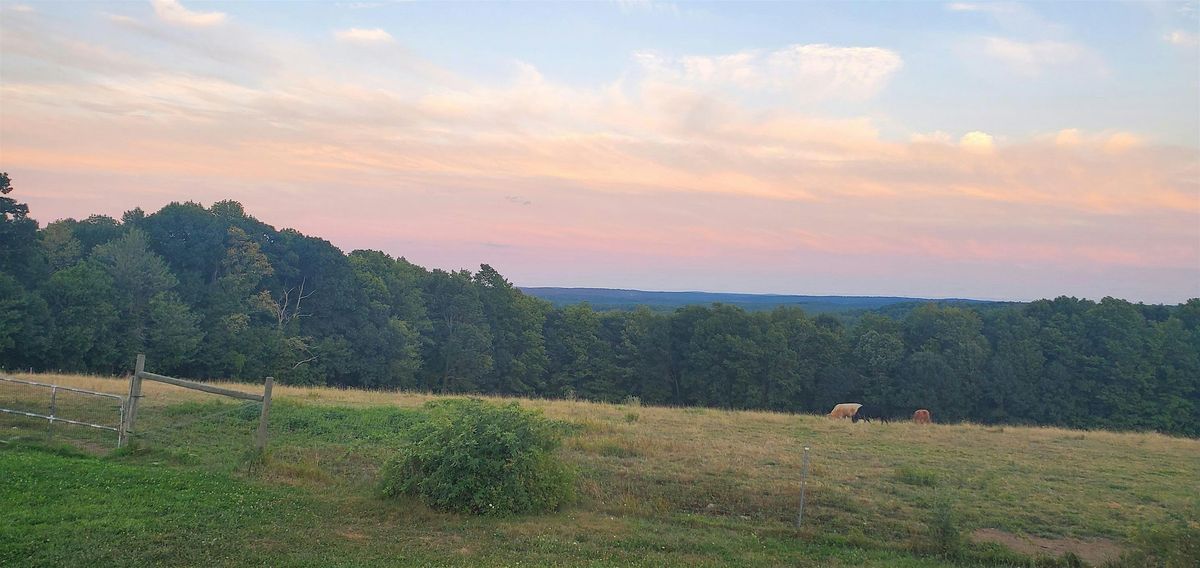 Yoga At Lilac Hedge Farm