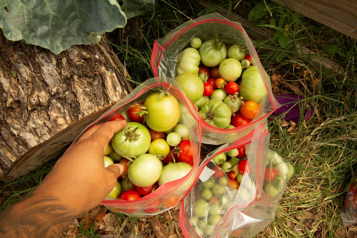 Locally Grown Experience with Rosen Heights Community Garden