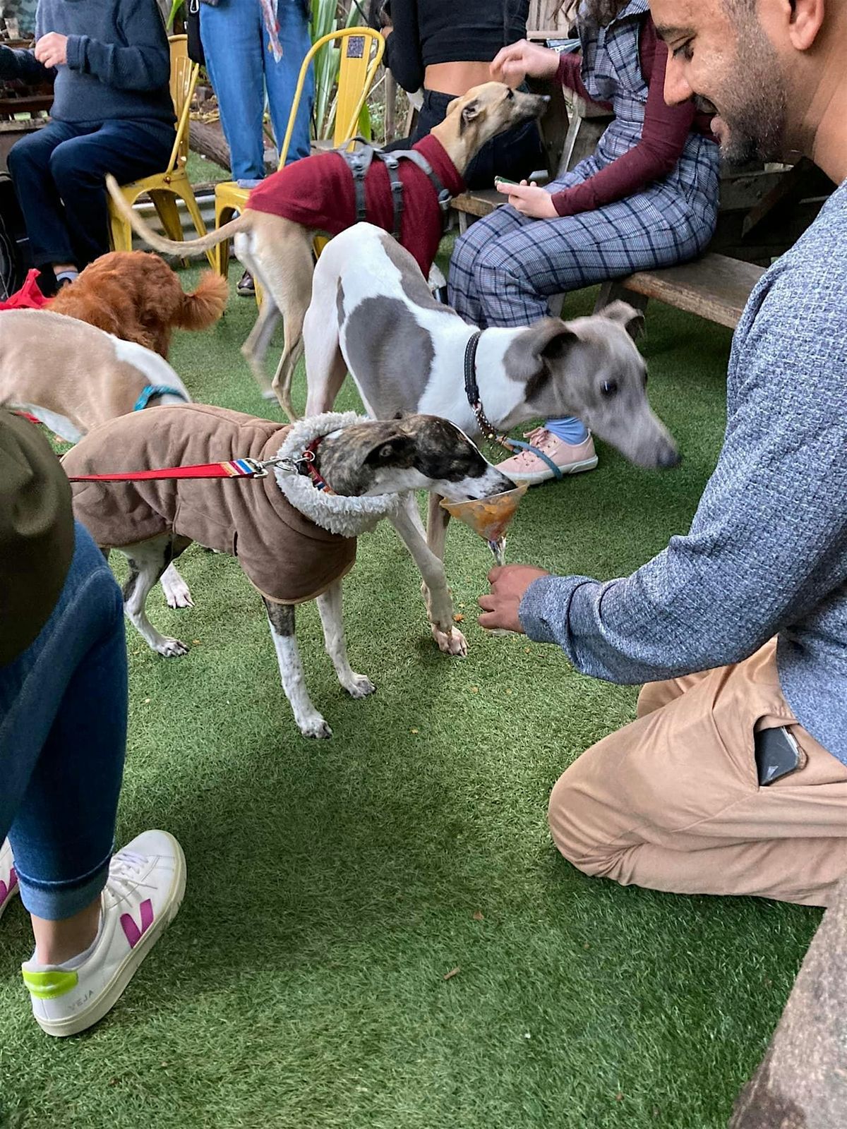 Sighthounds Pub Crawl