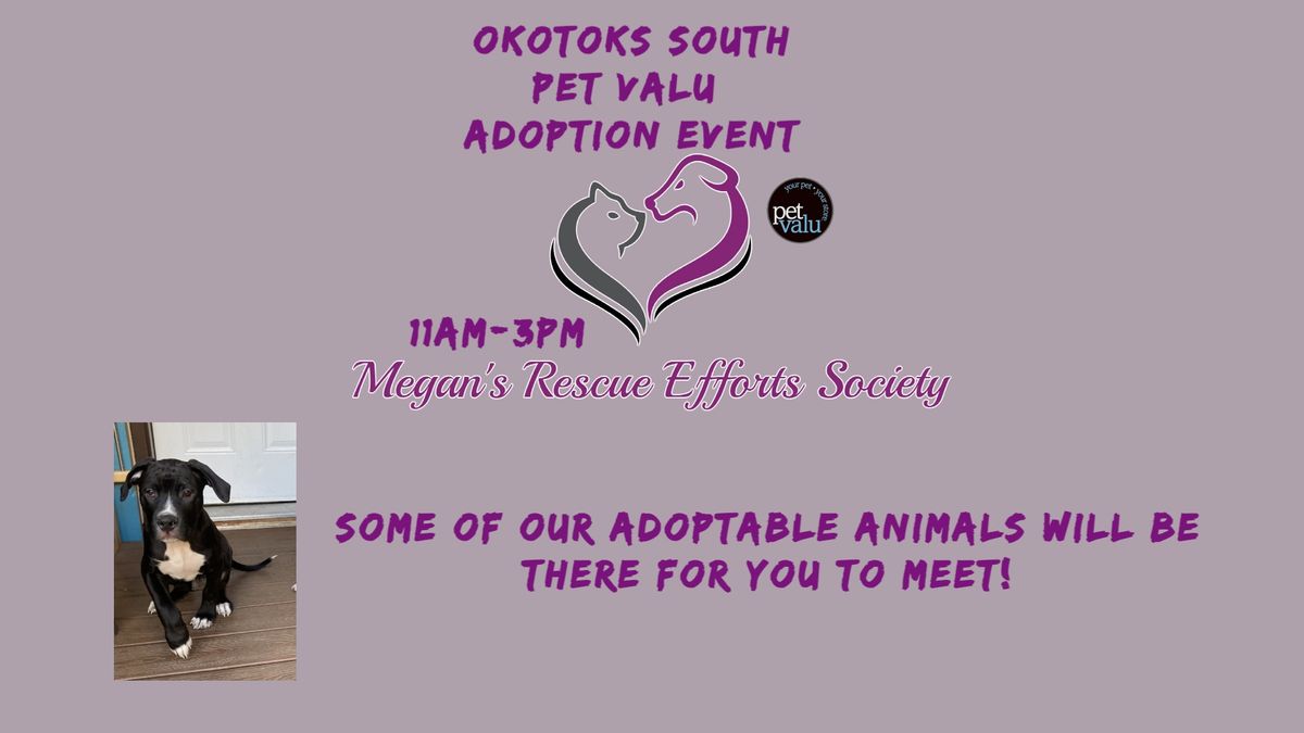 Okotoks South Pet Valu Adoption Event