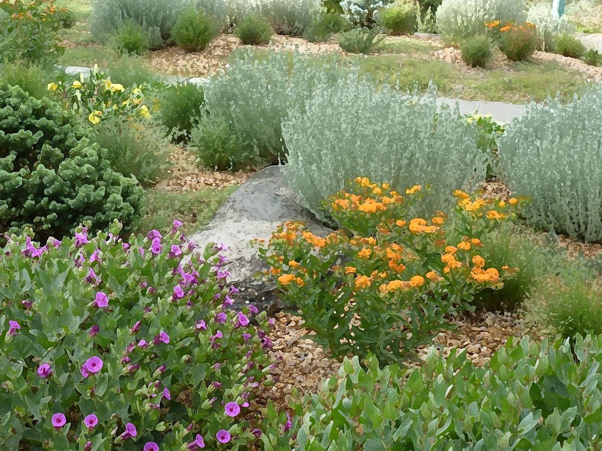 2024 Landscaping With Colorado Native Plants Conference Embassy Suites   2cb64b5a5c041fb1e595af3d898cd5ce1984af774d1fd8c403ee499b79072325 Rimg W1200 H900 Gmir 