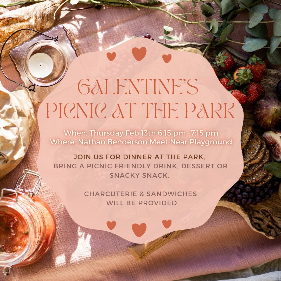 Galentine's Picnic at the Park: Women's Event Hosted by 20s & 30s Christians of Sarasota 