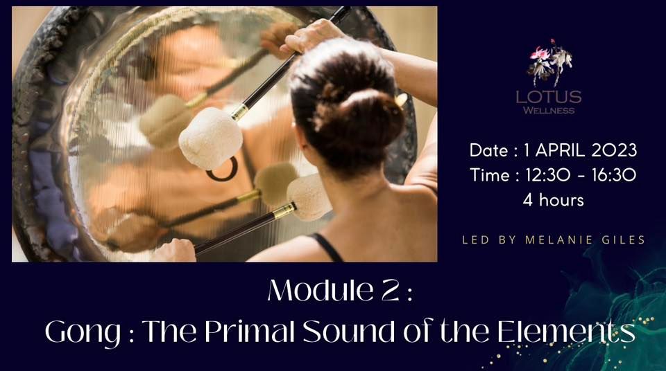 Module 2 : Gong : The Primal Sound of the Elements