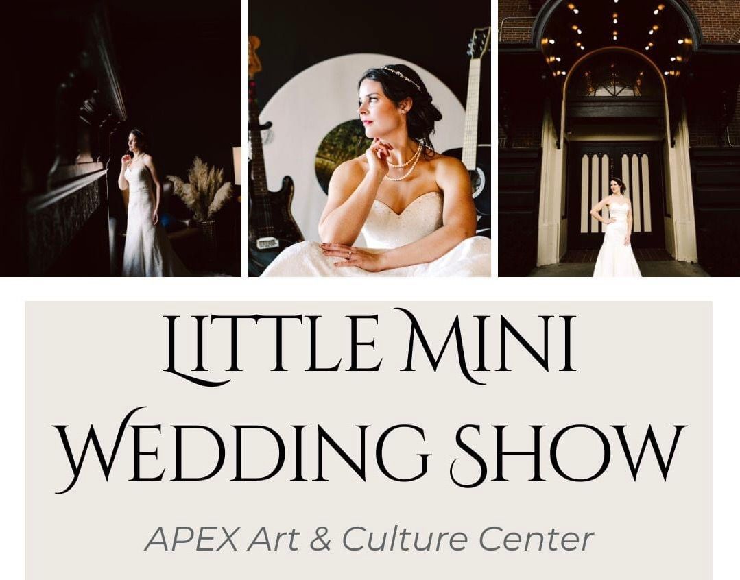 The Little Mini Wedding Show