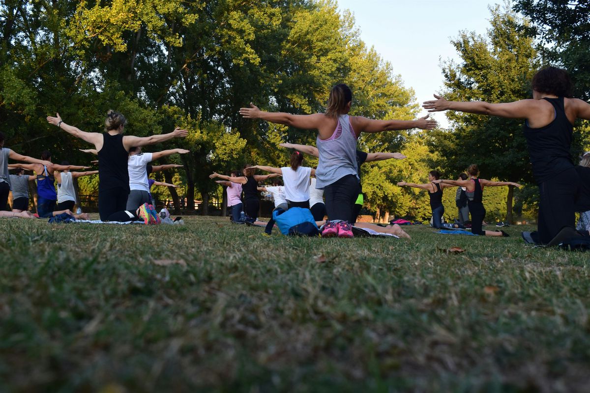 Basic Yoga in the Gardens for Beginners