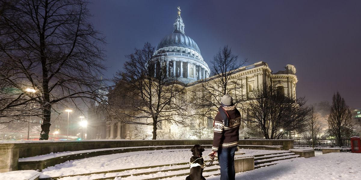 Guide Dogs Carol Concert at St Paul's Cathedral