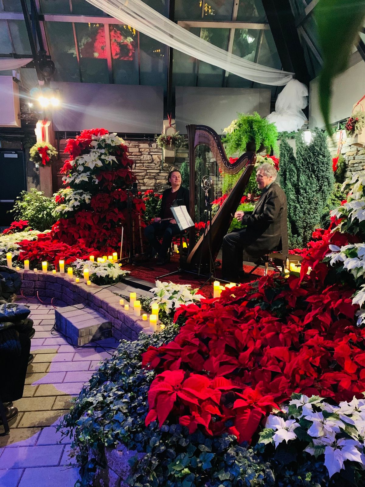 Candlelight Christmas- Muttart Conservatory