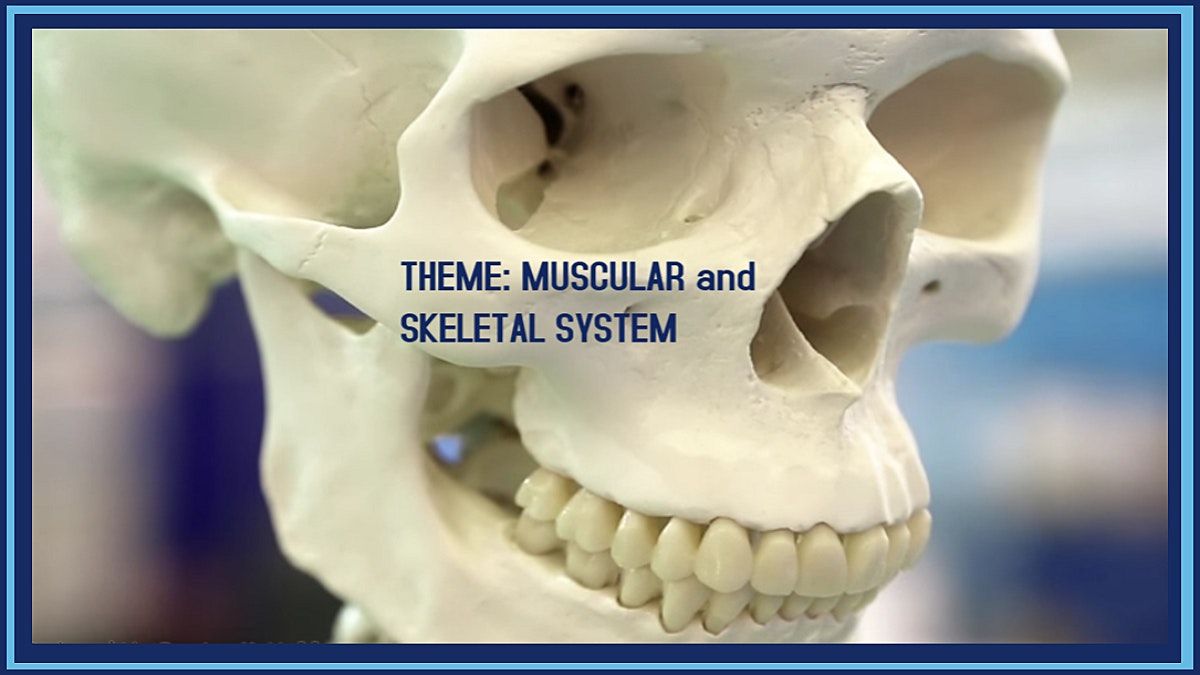 THEME: BODY-MUSCULAR and SKELETAL SYSTEM