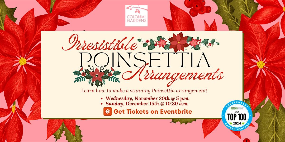 Irresistible Poinsettia Arrangements