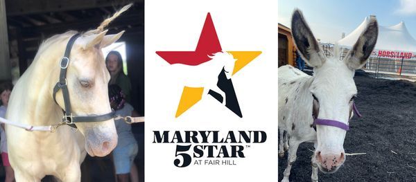 Horseland at the MD 5 Star!