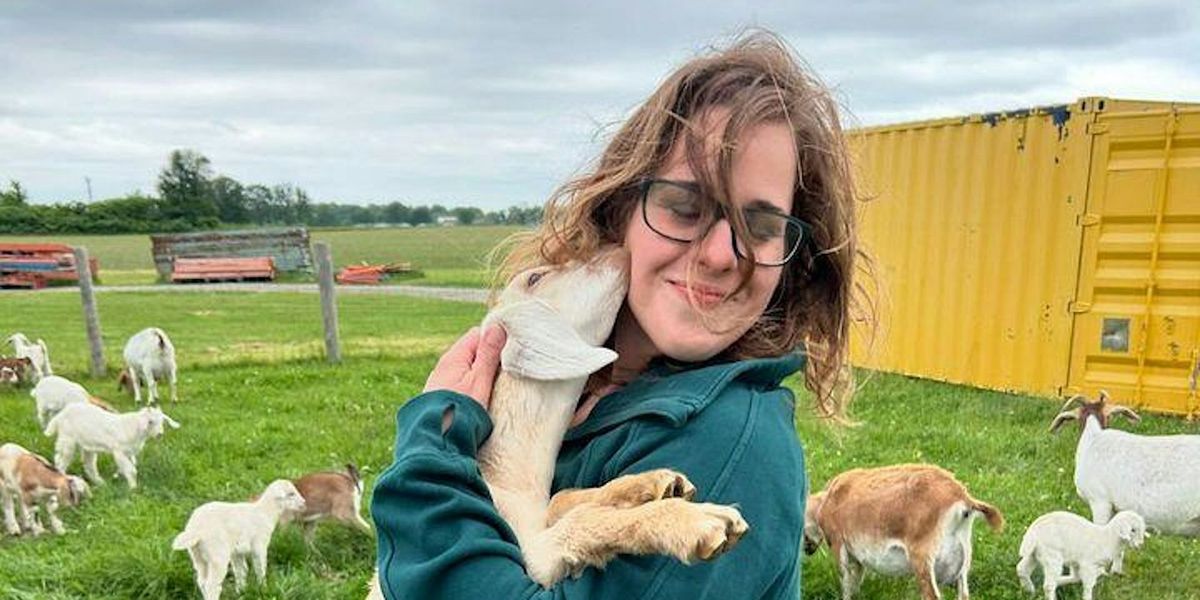 Goat Yoga at Tall Post Craft Cider