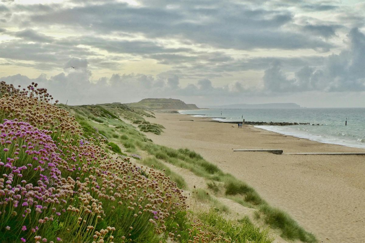 NEW glorious HIKE: Hengistbury Head to Bournemouth:SWIM,on a sandy beach