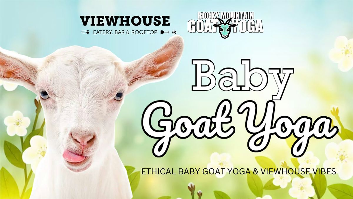 Baby Goat Yoga - July 14th (ViewHouse Colorado Springs)