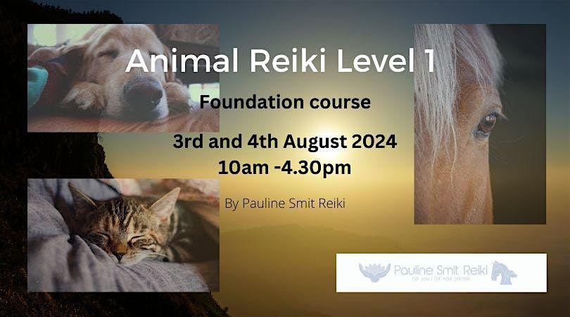Animal Reiki  level 1 (foundation) (2 days- Sat\/Sun)
