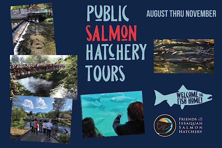 Issaquah Salmon Hatchery Tour