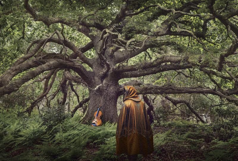 The Ancient Oak of Baldor by Frozen Light Theatre