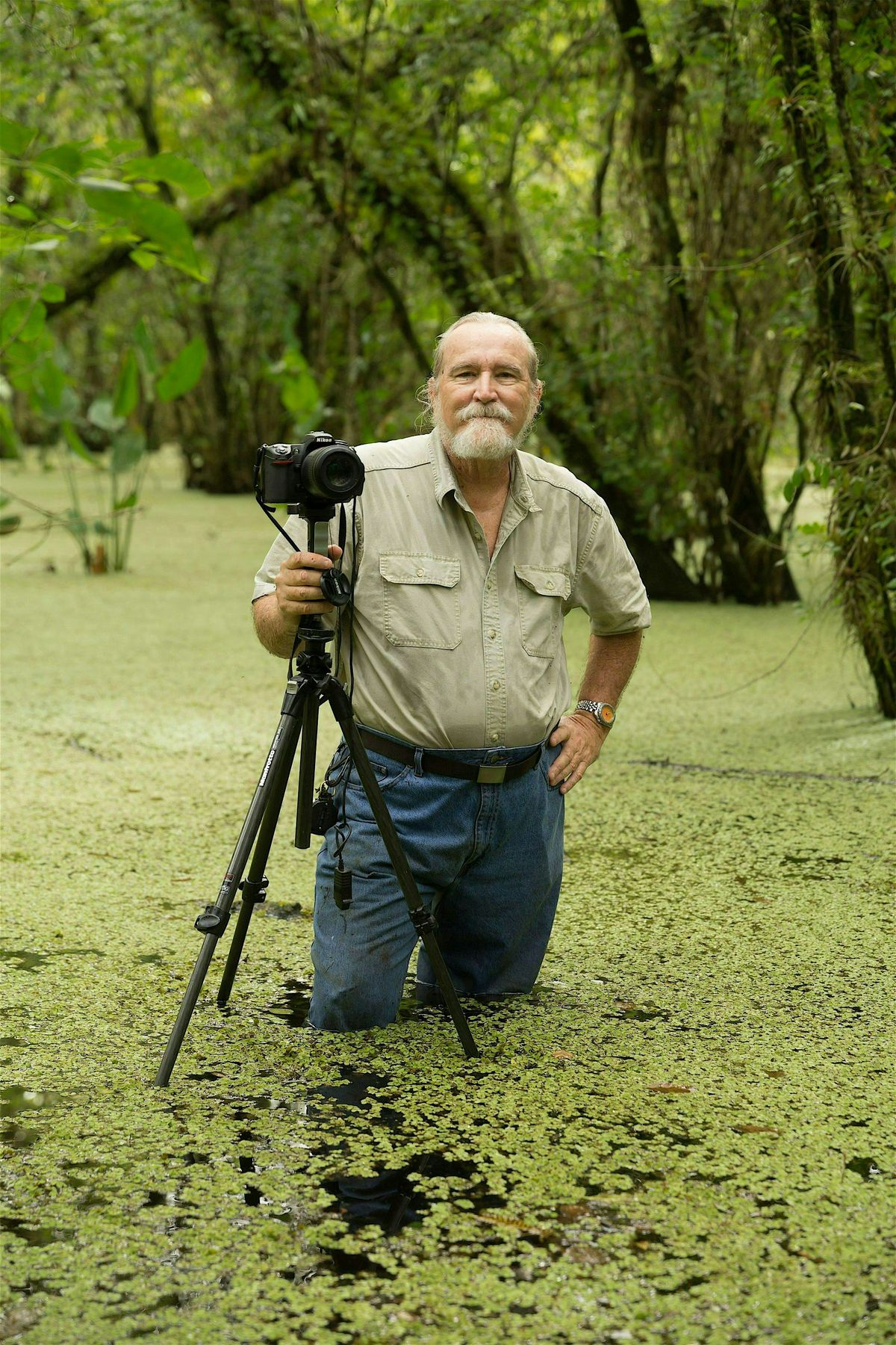 FL NATIVE PLANT SOCIETY Roger Hammer on Native Wildflowers WEST PALM BEACH