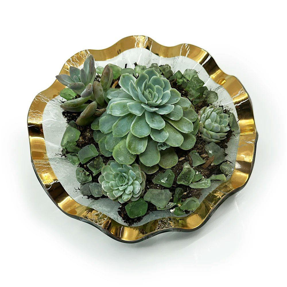 DIY Succulent Garden, Come At Your Convenience