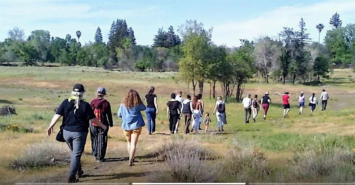 Monthly T.E.K. Plant Walk at Verbena Fields