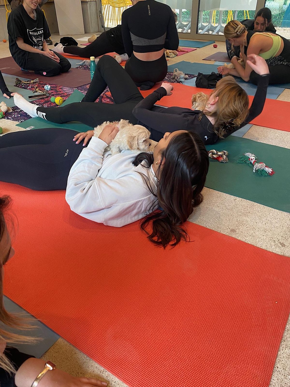 Puppy Yoga Elephant & Castle