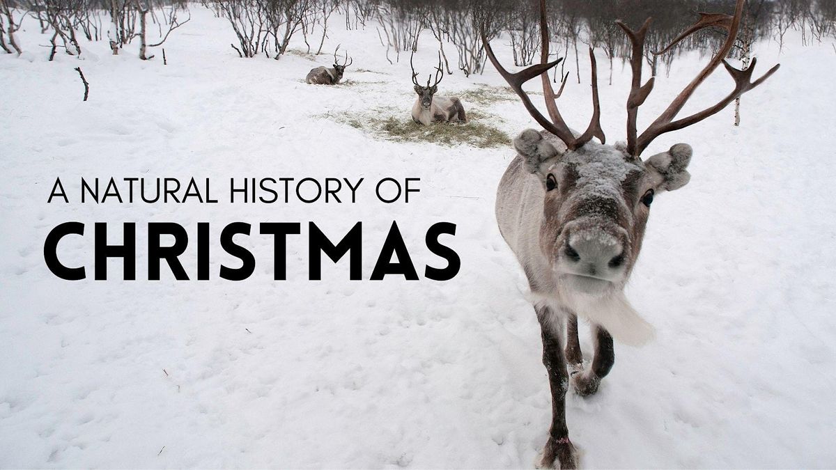 A Natural History of Christmas