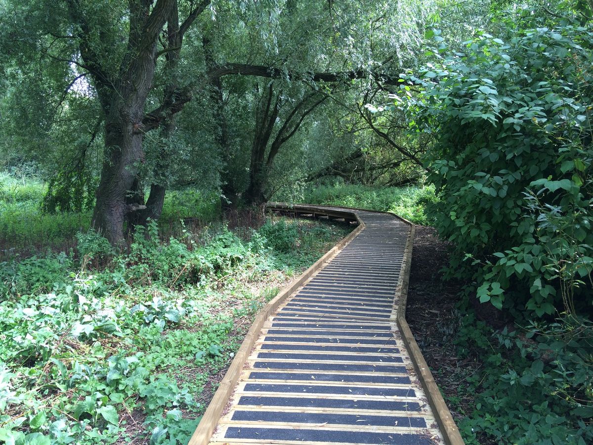 Volunteer day \u2013 Boardwalks Nature Reserve