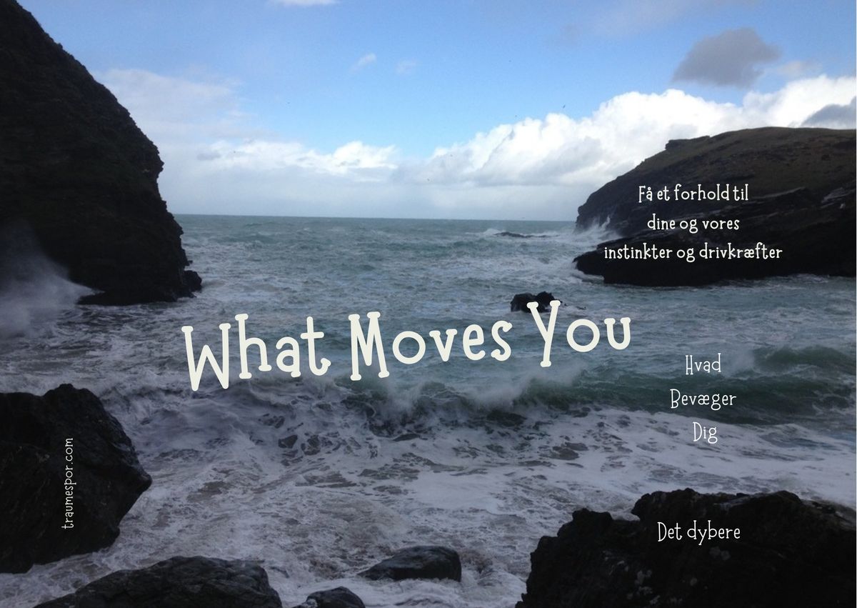 What Moves You - Hjerte og Instinkt 2025-2026 - 18 dg ved Espen Andli