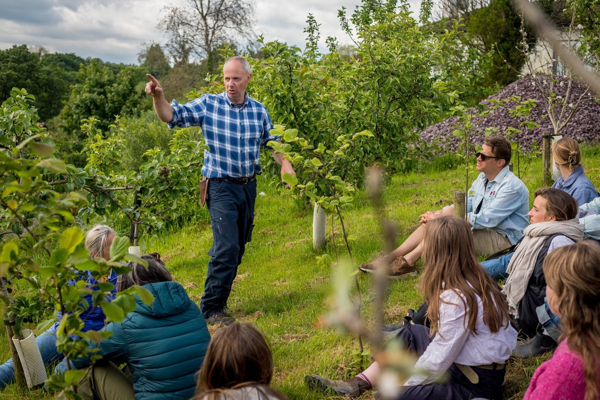 Planting and Caring for an Orchard with Chris Troy